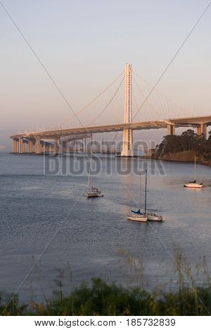 A vertical composition in Cliper Cove showing the Bay Bridge off Treasure Island