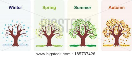 Vector illustration of a tree in four seasons winter, spring, summer and autumn