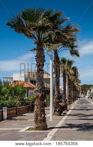 MARINA di CECINA ITALY - May 07 2017: Largo Cairoli during the Kite Festival and the flowers Largo Vittoria street with palms