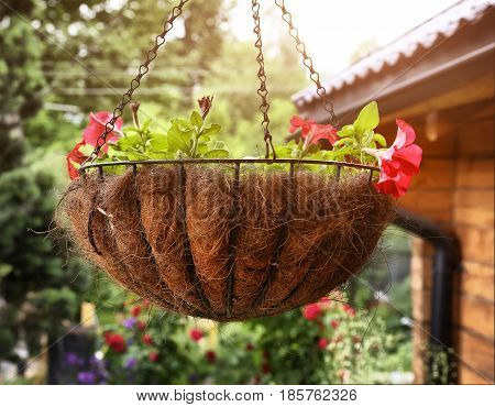 Flower Basket Hang Close Up Photo