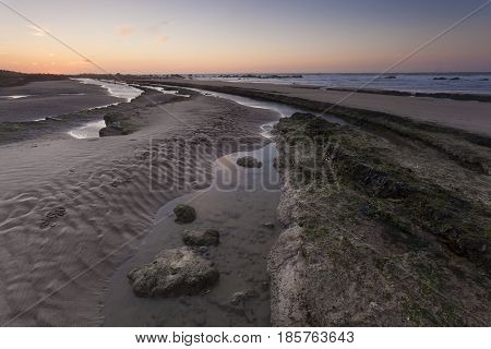 Sirene beach Cap Gris Nez Cote d'opale Pas-de-Calais France