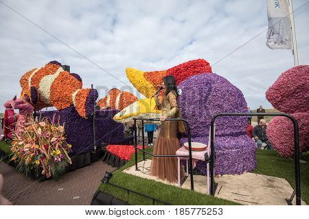 NOORDWIJK NETHERLANDS - 22 APRIL 2017: Platform with tulips and hyacinths during the traditional flowers parade Bloemencorso from Noordwijk to Haarlem in the Netherlands.