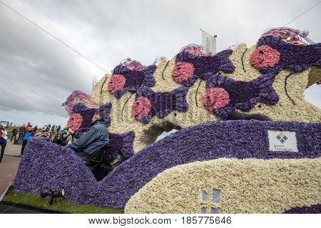NOORDWIJK NETHERLANDS - 22 APRIL 2017: Platform with tulips and hyacinths during the traditional flowers parade Bloemencorso from Noordwijk to Haarlem in the Netherlands.