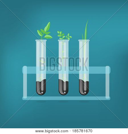 Bioscience vector concept: Laboratory glassware with soil and plant. Flat design illustration on color background. - stock vector