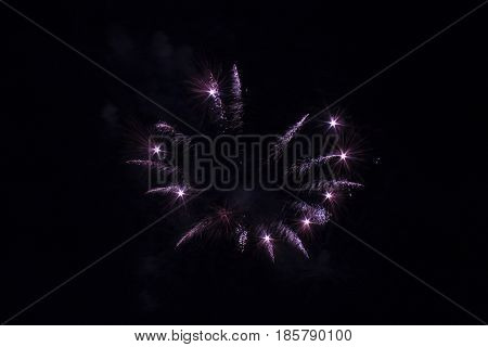 festive single explosions of fireworks in the dark sky
