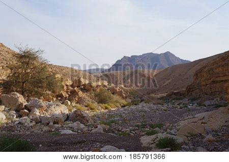 Red Canyon near Eilat in South Israel, Nahal Shani in last sunset light