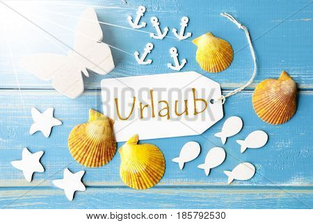Flat Lay View Of Label With German Text Urlaub Means Holiday. Sunny Summer Greeting Card. Butterfly, Shells And Fishes On Blue Wooden Background