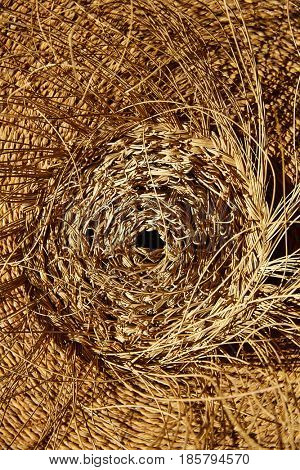 Esparto halfah grass used for crafts as cords basketry and espadrilles