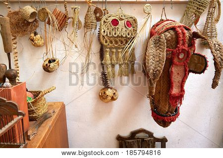 Esparto halfah grass used for crafts as cords basketry and espadrilles