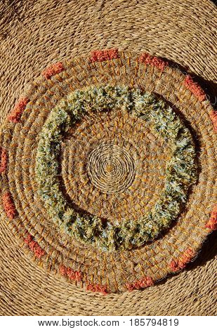 Esparto halfah grass used for crafts as cords basketry and espadrilles