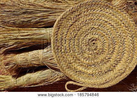 Esparto halfah grass used for crafts as cords basketry and espadrilles