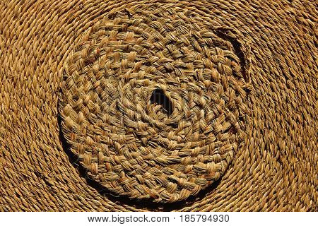 Esparto halfah grass used for crafts as cords basketry and espadrilles