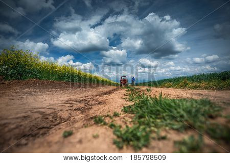 Red Tractor In A Field