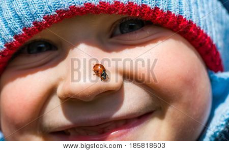 Baby boy face with ladybug. Ladybug sitting on baby boy nose. Boy portrait