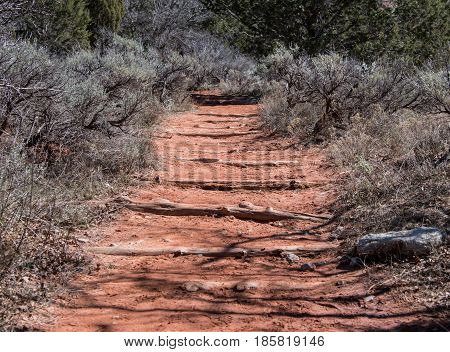 Logs Across Taylor Creek Dirt Trail