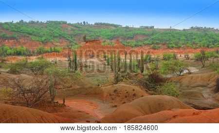 View of Desierto de la Tatacoa (Tatacoa Desert) in Villavieja, Huila / Colombia