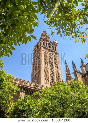 view of a cathedral in Sevilla Spain