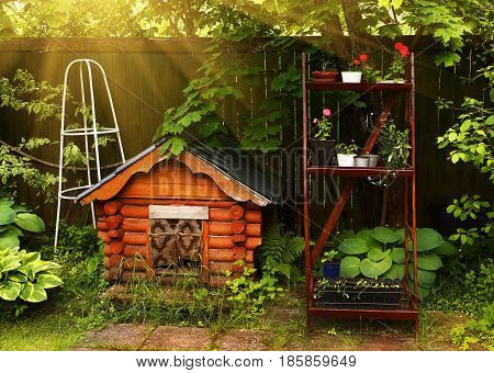 dog wooden gouse in formal summer garden close up photo