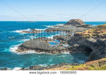 The scenery view of the Nobbies conservation area of Phillip Island, Australia.