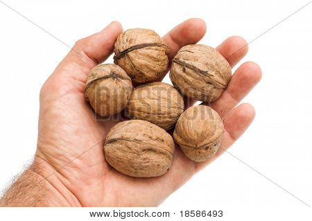 Walnüsse in der hand