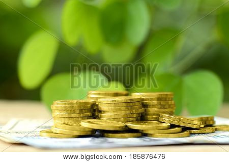 Gold coin and money with green environmental background.