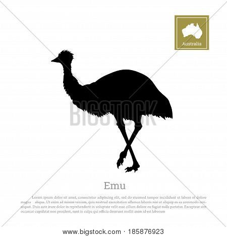 Black silhouette of ostrich emu on white background. Animal of Australia. Vector illustration
