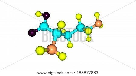 Ornithine is a non-proteinogenic amino acid that plays a role in the urea cycle. Ornithine is abnormally accumulated in the body in ornithine transcarbamylase deficiency. 3d illustration