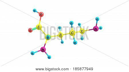 Ornithine is a non-proteinogenic amino acid that plays a role in the urea cycle. Ornithine is abnormally accumulated in the body in ornithine transcarbamylase deficiency. 3d illustration