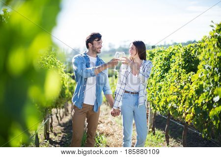 Couple with holding hands toasting wineglasses while standing at vineyard