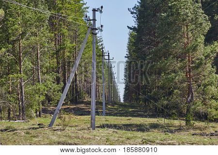 poles with wires stretching into the distance