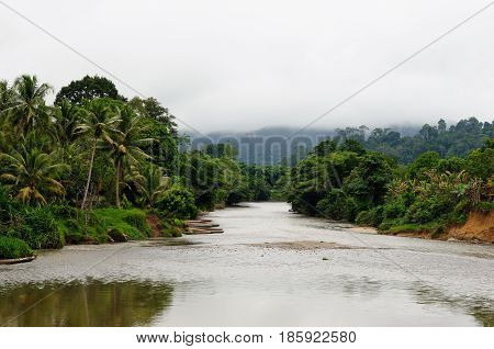 Scenic view of wild tropical jungle on the Borneo island Indonesia. Kalimantan