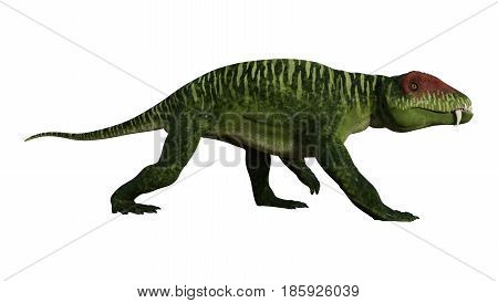 3D Rendering Dinosaur Doliosauriscus On White