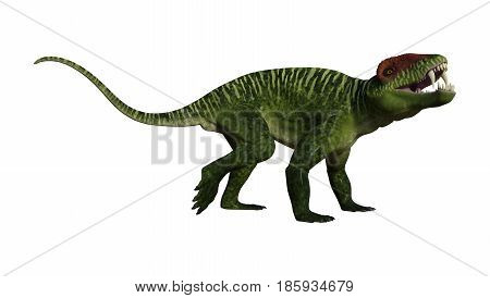 3D Rendering Dinosaur Doliosauriscus On White