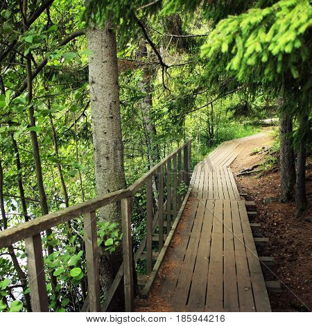 Wooden pathway in forests of Valaam island. Aged photo. Footpath in the woods. Toned. Walkway in the grove. Outdoors. Republic of Karelia Russia.