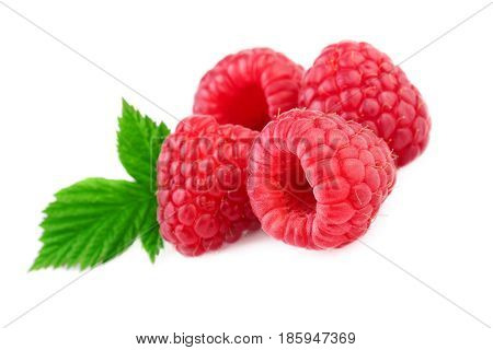 Isolated raspberries. Fresh raspberry with leaf isolated on white background
