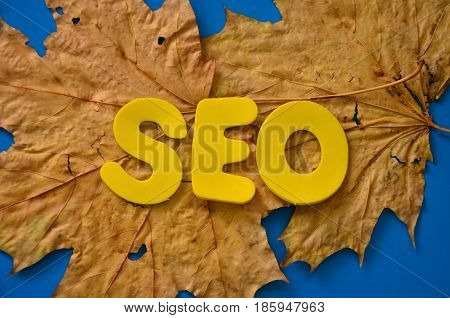 word seo on a  abstract colorful background