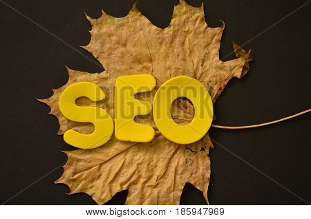 word seo on a  abstract colorful background