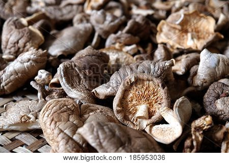 Dried Shiitake mushrooms in the threshing basket