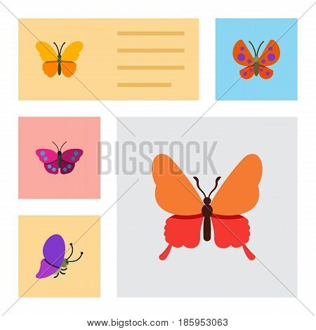 Flat Moth Set Of Summer Insect, Butterfly, Moth And Other Vector Objects. Also Includes Moth, Monarch, Archippus Elements.
