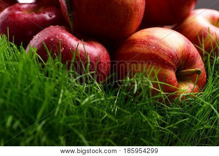 Fallen Fresh Red Apple In The Grass