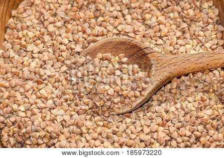 Old wheat species - grain-like triangular buckwheat seeds - in a rustic wooden shell with a wooden spoon.