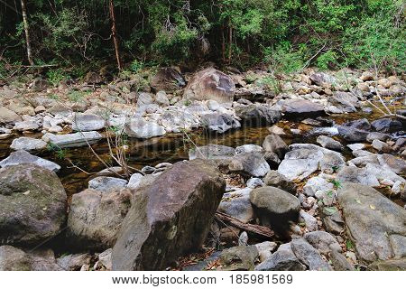 Thai dark tropical forest and rapid mountain river in Mu Koh Chang National Park, Chang island, Thailand. Path to the Khlong Phlu waterfall. Natural background. Soft Focus.
