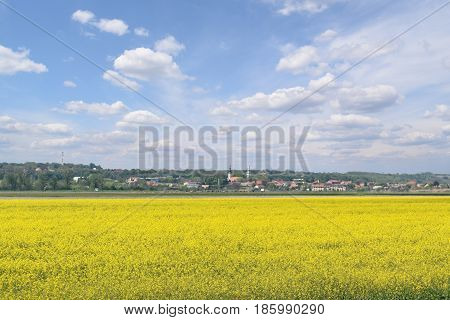 Huge canola field and little town in distance