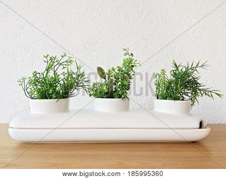 White decorative ceramic pot with green plants. Home decor.