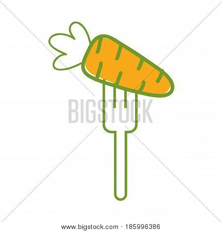 fresh carrot to prepair natural salad, vector illustration