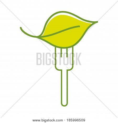 fresh leaf to prepair natural salad, vector illustration