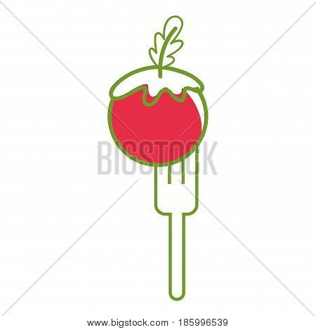 fresh tomato to prepair natural salad, vector illustration