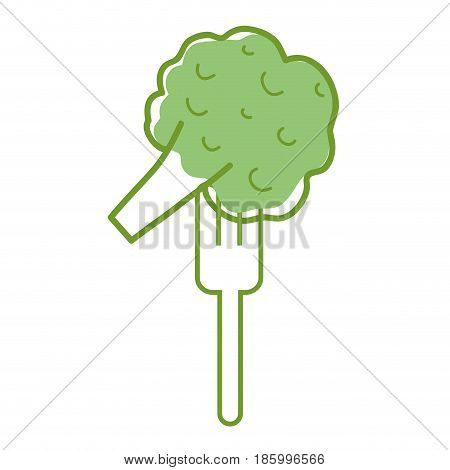 fresh broccoli to prepair natural salad, vector illustration