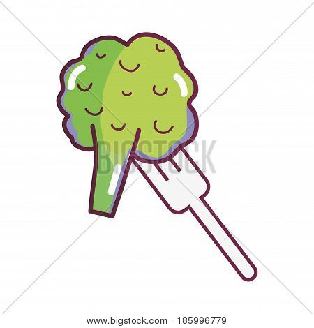 fresh broccoli to prepair natural salad, vector illustration