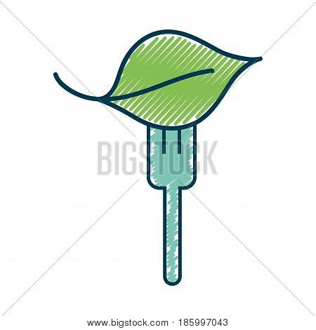 fresh leaf to prepair natural salad, vector illustration